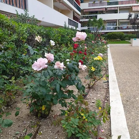 Eden Golfe Plages à Pieds Parking Privé